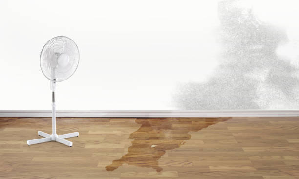 Best Wood Floor Water Damage Restoration in Melrose Park, NY